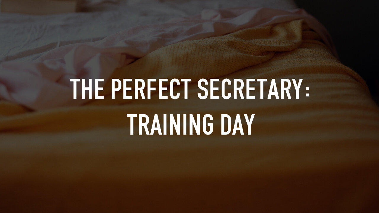 The Perfect Secretary Training Day
